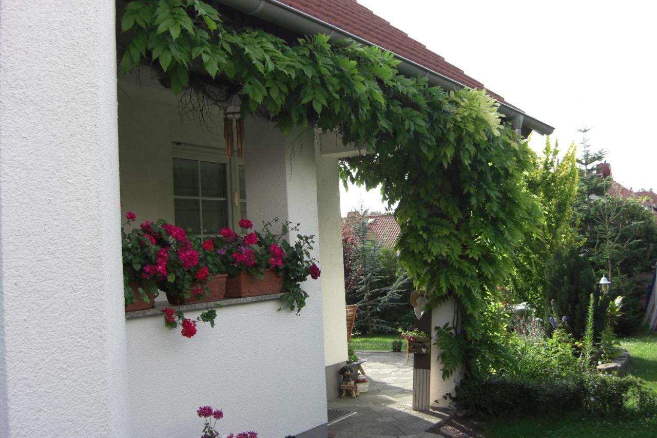 Appartement Am Goldberg Goldbach  Exteriér fotografie